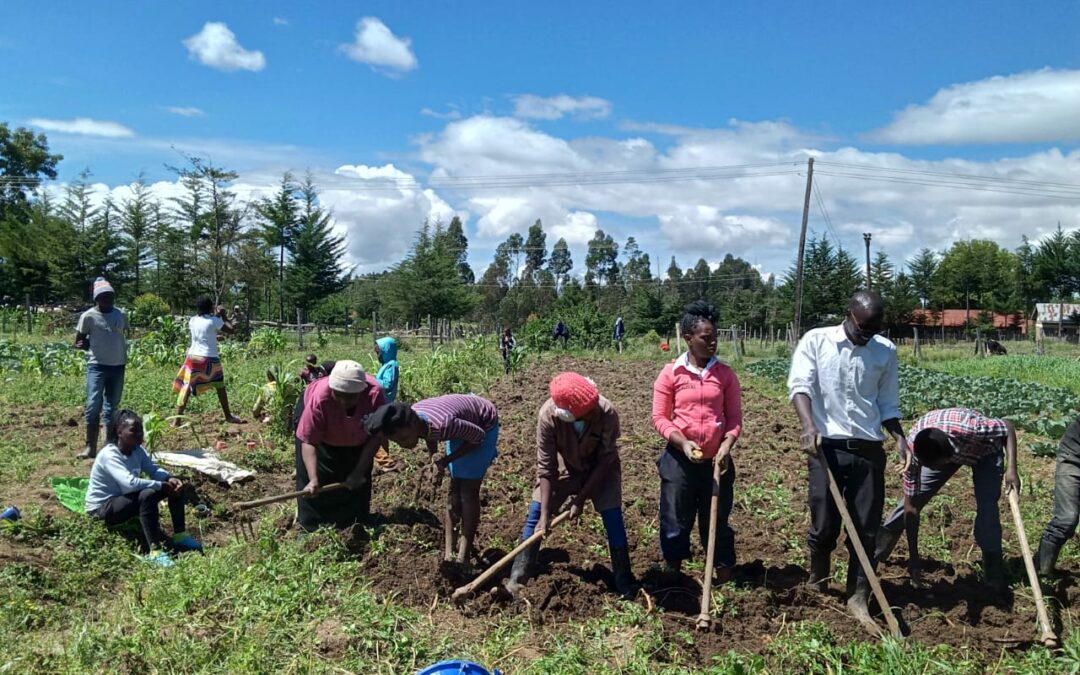 Students in Kenya Learn How to Garden During a Pandemic